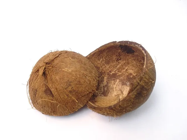 Tamaño del poro adecuado